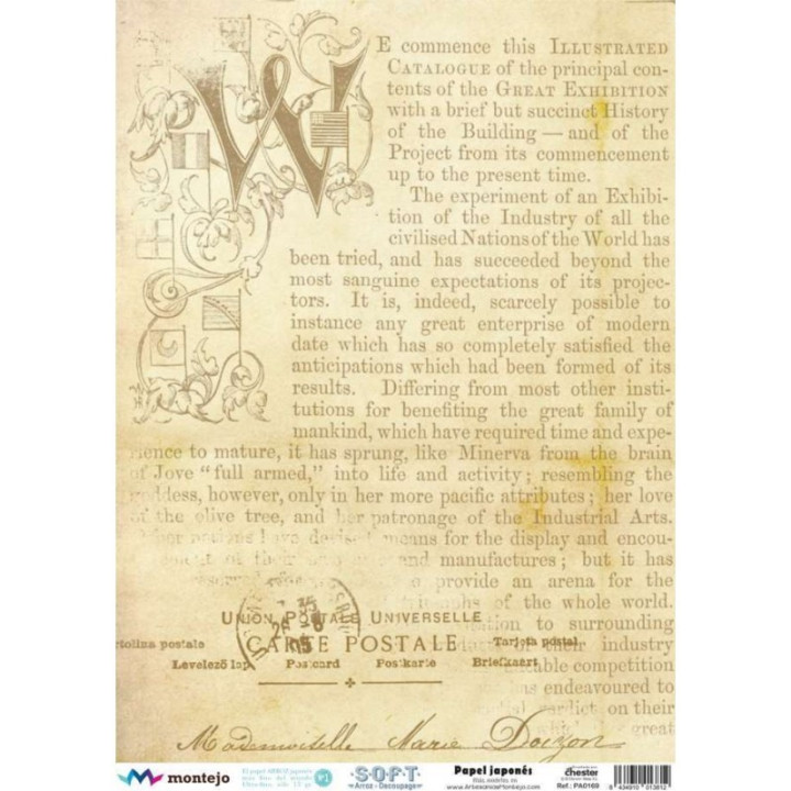 copy of 
